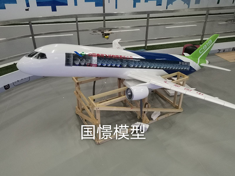 元谋县飞机模型